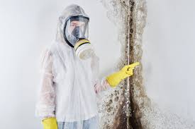 Best Emergency Mold Remediation  in Blue Mountain, MS